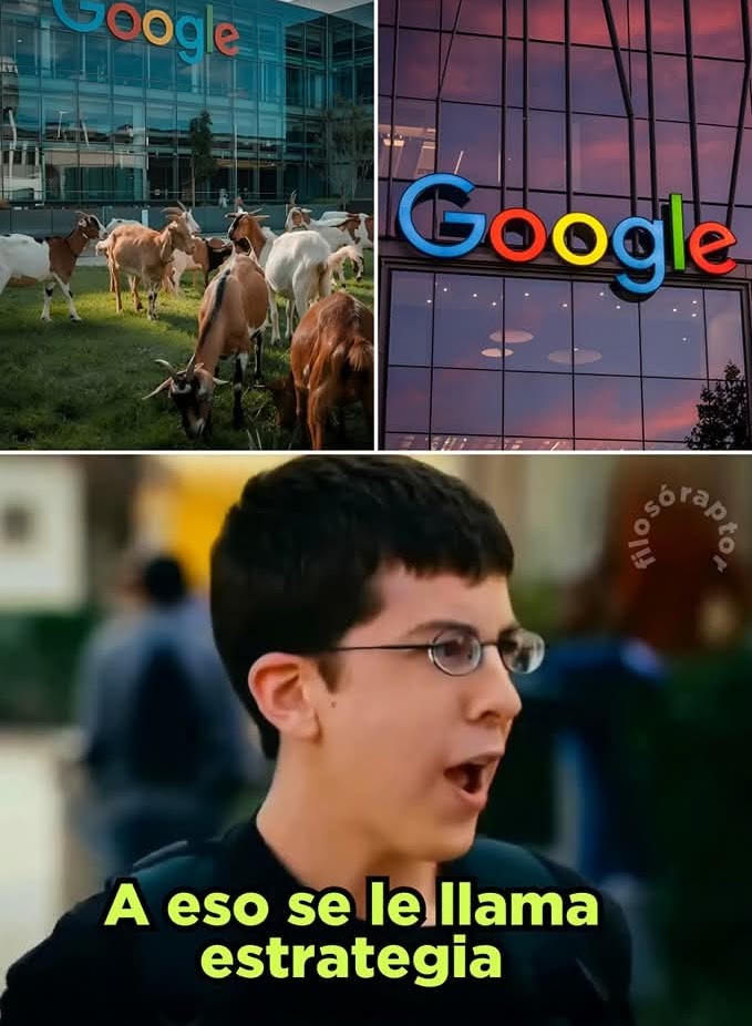 MUY INTELIGENTE GOOGLE