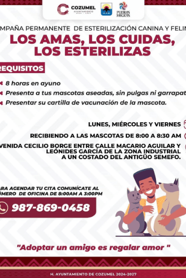 amalos, cuidalos y esterilizalos