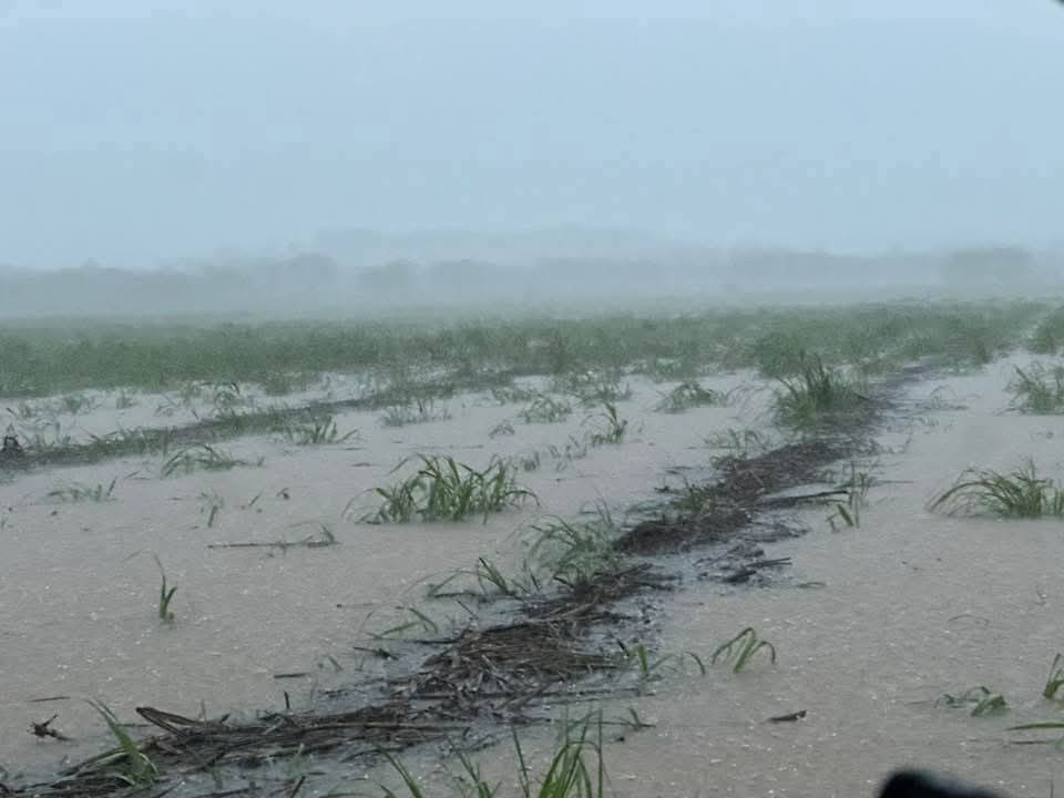 Les llueve sobre mojado a Cañeros de la Ribera del Río Hondo