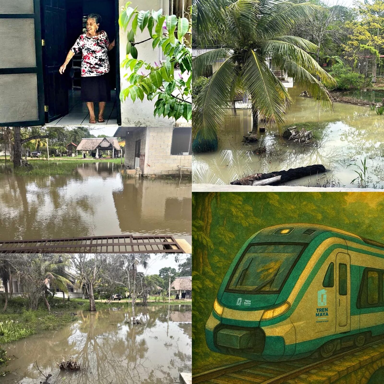 LAS OBRAS DEL TREN MAYA EN CHETUMAL PERJUDICARON A UNA FAMILIA