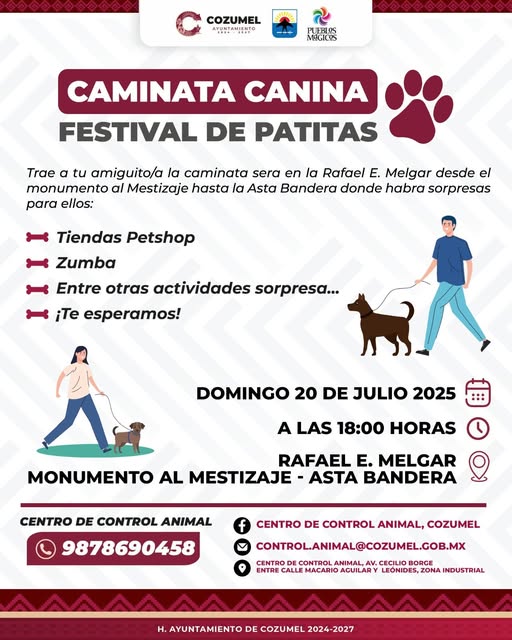 COZUMEL ¡Prepárate para una tarde llena de patitas felices!