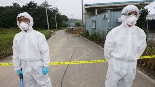 Estados Unidos confirma la primera persona infectada de “Peste Negra” tras picadura de pulga.