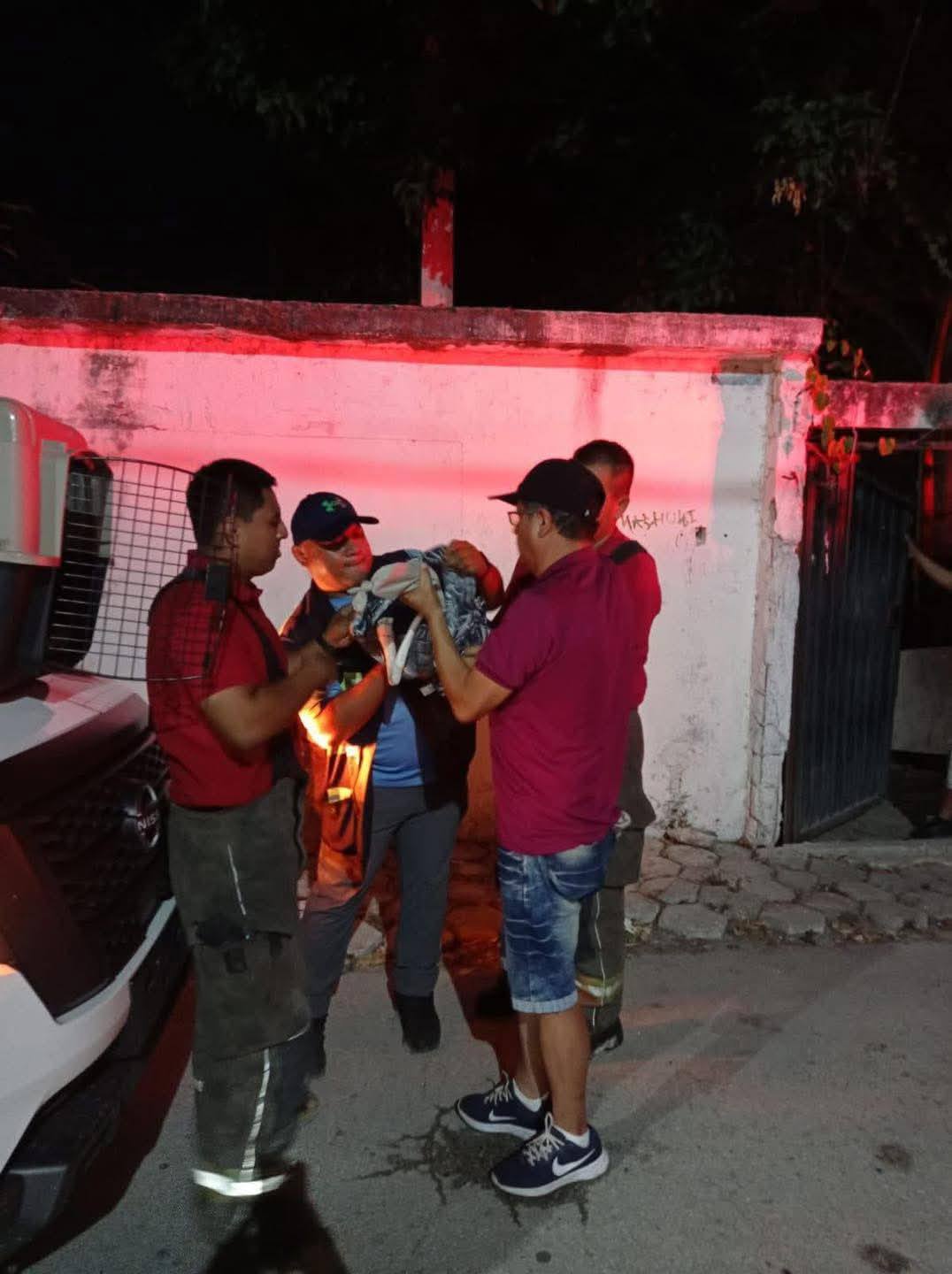Rescatan a flamingo 🦩, era apedreado por personas en región de Cancún.
