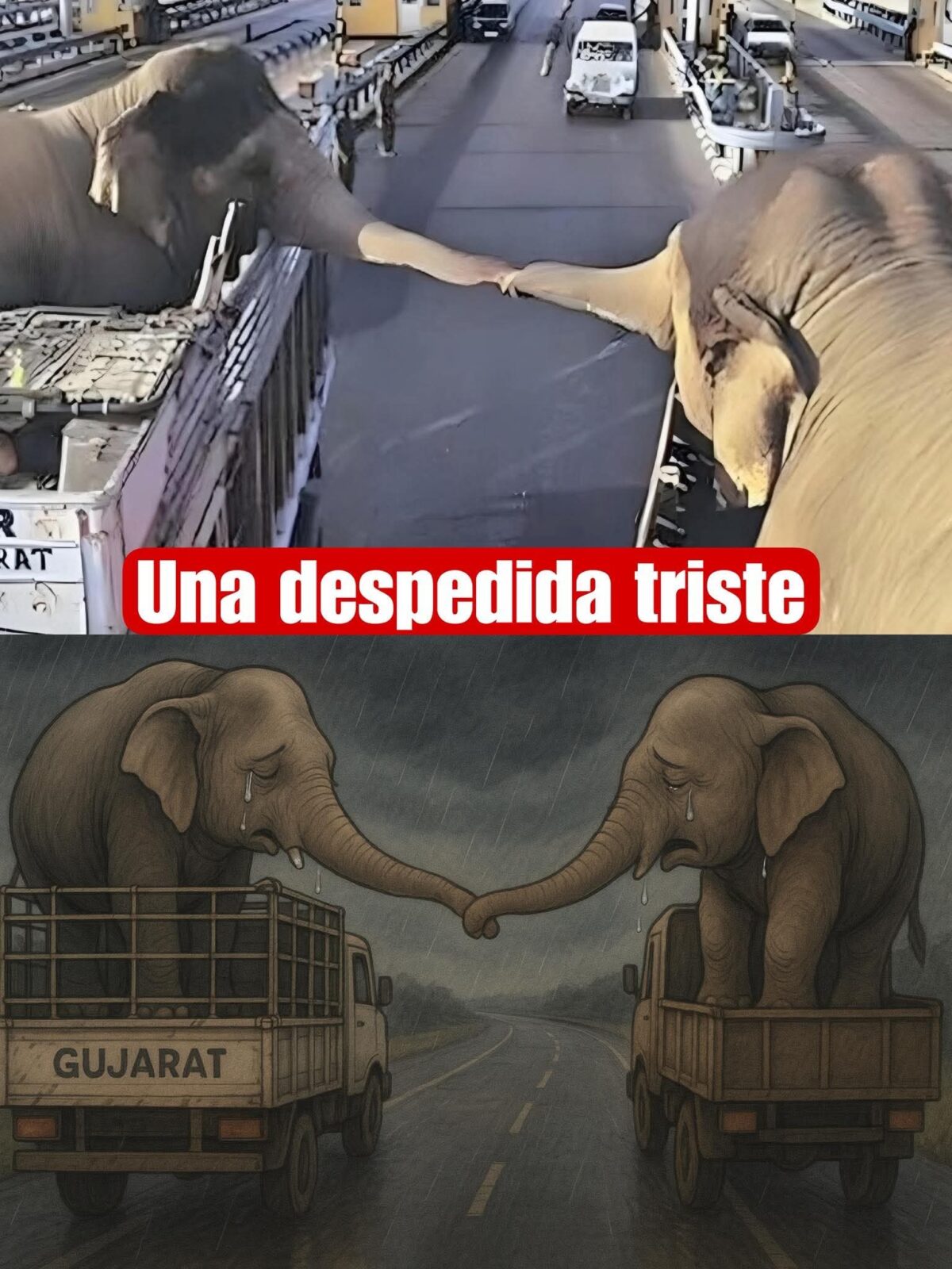 El último encuentro en el asfalto.