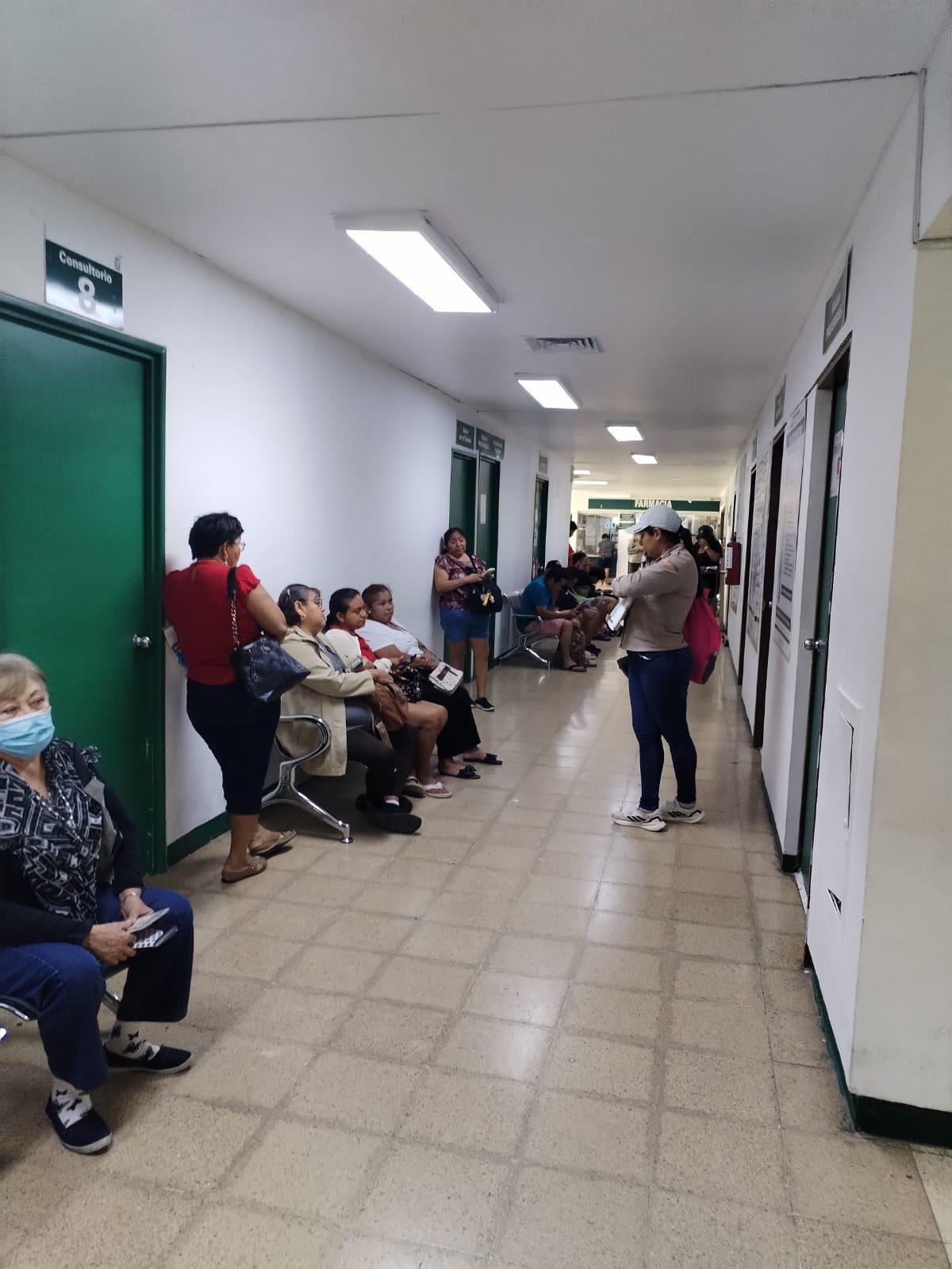 Vectores en Cozumel con p𝐥𝐚𝐭𝐢𝐜𝐚𝐬 𝐢𝐧𝐟𝐨𝐫𝐦𝐚𝐭𝐢𝐯𝐚𝐬 𝐞𝐧 𝐞𝐬𝐩𝐚𝐜𝐢𝐨𝐬 𝐩𝐮𝐛𝐥𝐢𝐜𝐨𝐬 🦟🗣️