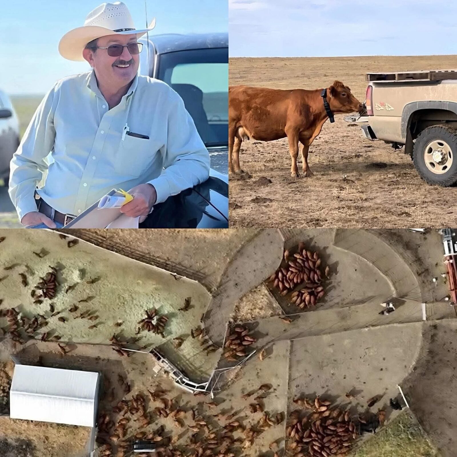 RANCHERO ESTADOUNIDENSE DONA SU RANCHO VALUADO EN 21.6 MILLONES DE DÓLARES EN LUGAR DE VENDERLO.👩‍🌾🐎