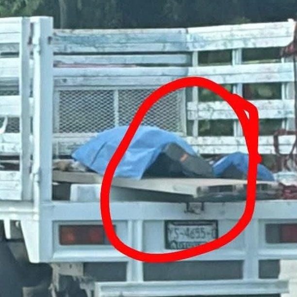 TRAGEDIA LABORAL EN TULUM: PIERDE LA VIDA JOVEN TRABAJADOR DEL TREN MAYA