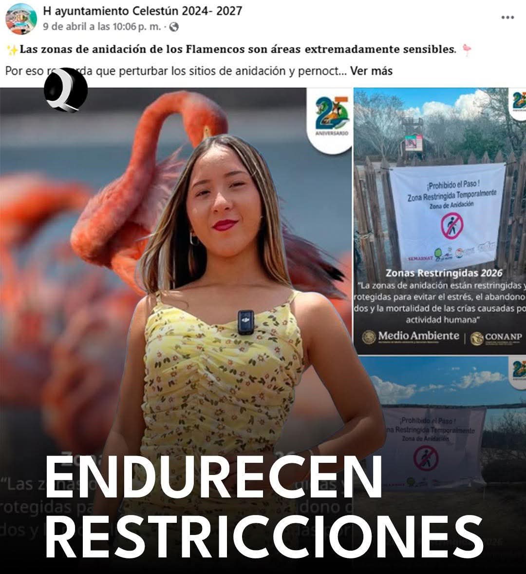 ¡POR CULPA DE LA IGNORANCIA DE UNA “INFLUENCER YUCATECA”, PAGAMOS TODOS! CIERRAN ACCESOS EN CELESTÚN PARA PROTEGER A LOS FLAMENCOS 🦩🚨