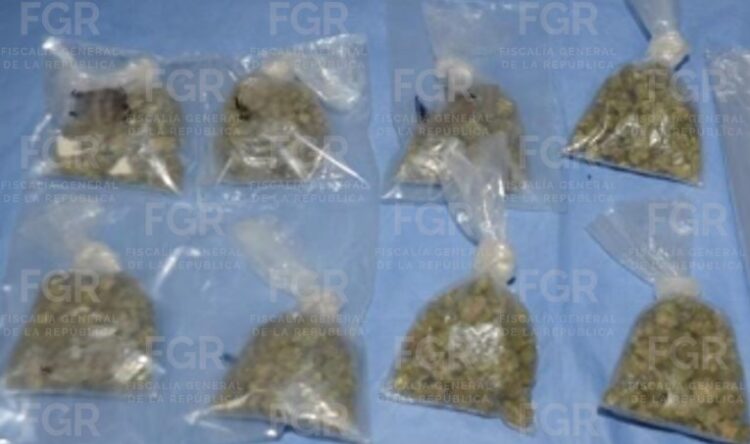 Más de 98 kilos de marihuana aseguran en Chetumal