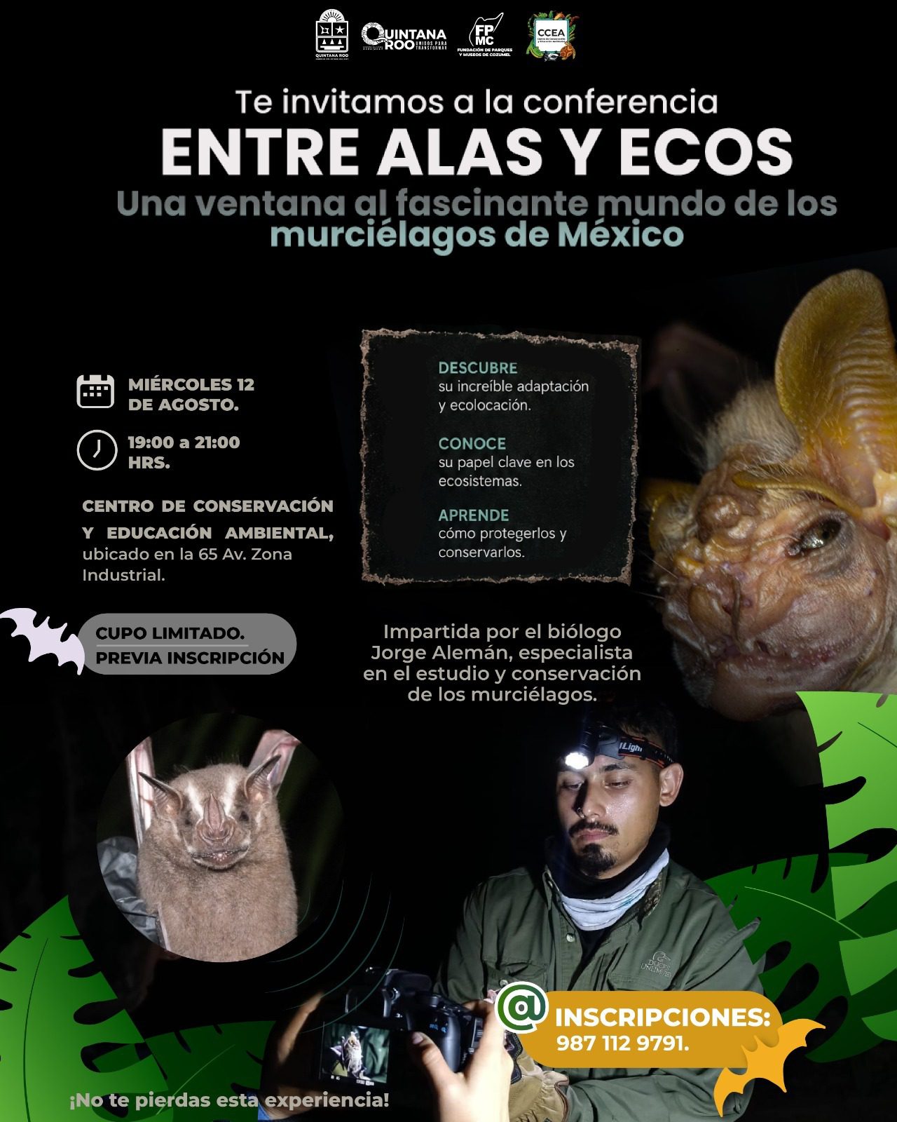 Invita la FPMC a descubrir los secretos de los murciélagos y su papel vital en la naturaleza