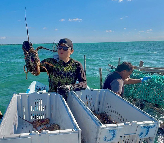 Pescadores esperan que sargazo no afecte captura de langosta en Cozumel