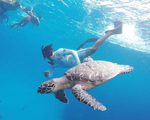 Ya se alistan para el congreso internacional de Buceo en Cozumel 2026